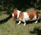 Siouxfalls May07 177